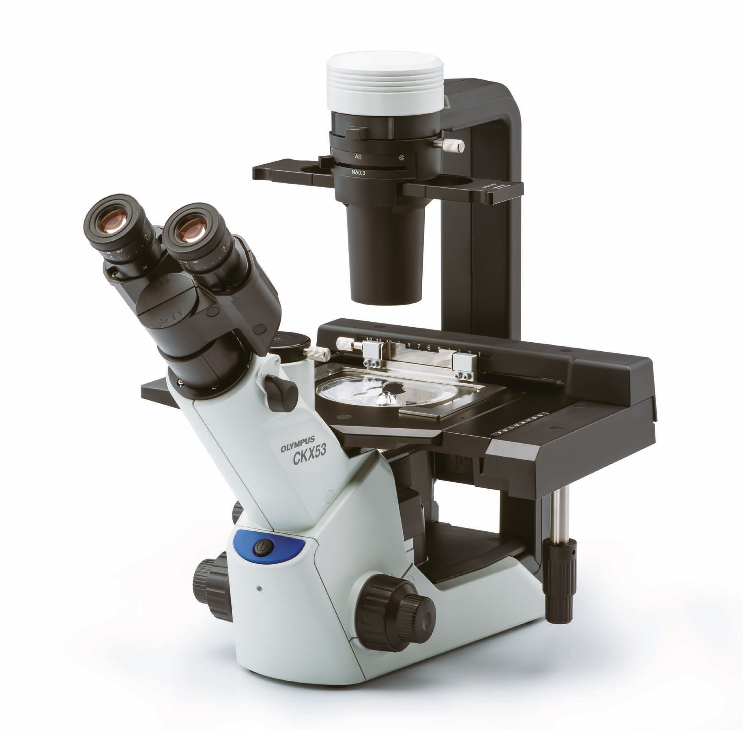 Phase Contrast Inverted Microscope