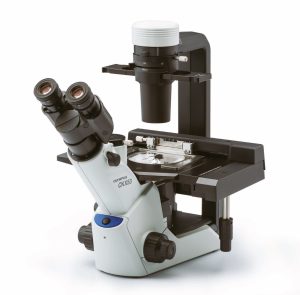 Phase Contrast Inverted Microscope